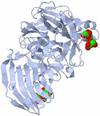 Image Biological Unit 1