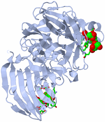 Image Biol. Unit 1 - sites