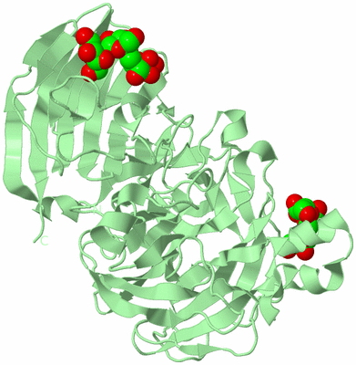 Image Biological Unit 2