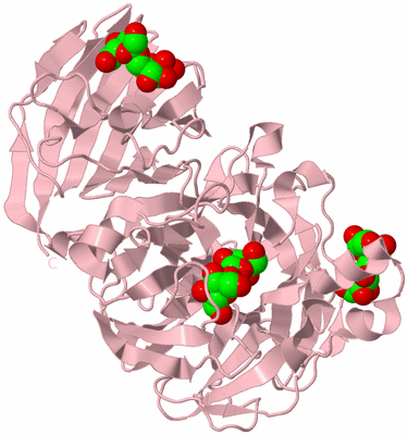 Image Biological Unit 3