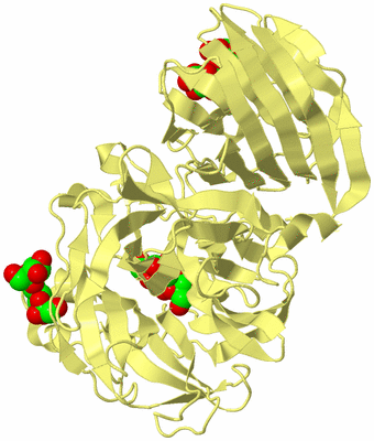 Image Biological Unit 4