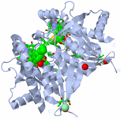 Image Biol. Unit 1 - sites