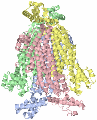 Image Asym./Biol. Unit