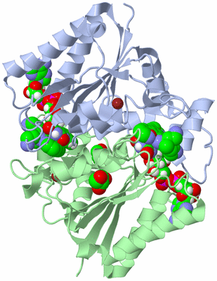 Image Asym./Biol. Unit