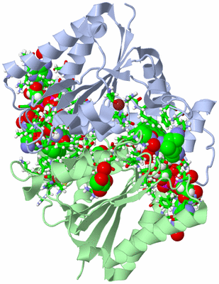 Image Asym./Biol. Unit - sites