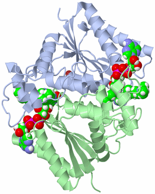 Image Biological Unit 1