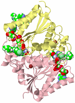 Image Biological Unit 2