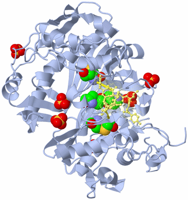 Image Biological Unit 1