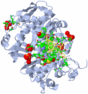 Image Biol. Unit 1 - sites