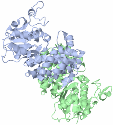 Image Asym./Biol. Unit