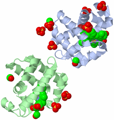 Image Asym./Biol. Unit