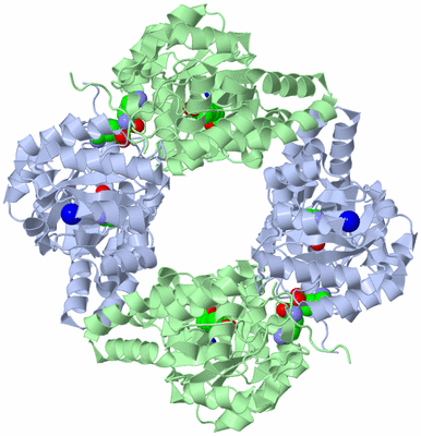 Image Biological Unit 1