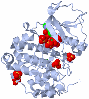 Image Biological Unit 1