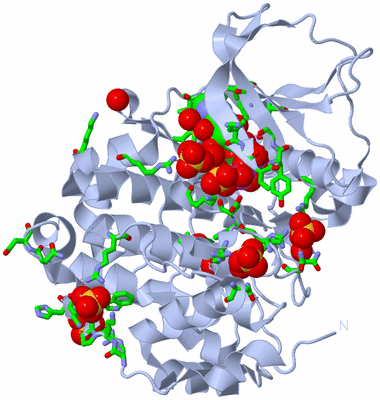 Image Biol. Unit 1 - sites