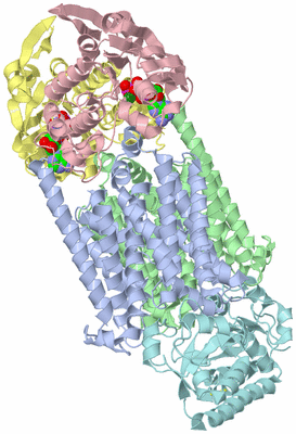 Image Asym./Biol. Unit