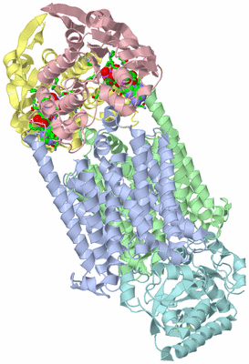 Image Asym./Biol. Unit - sites