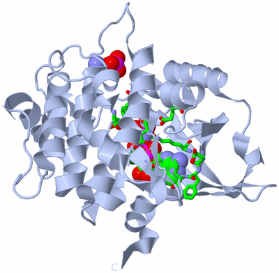 Image Biol. Unit 1 - sites