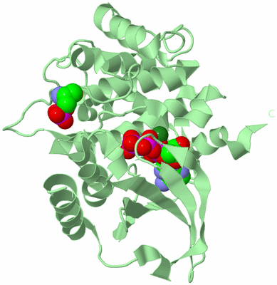 Image Biological Unit 2