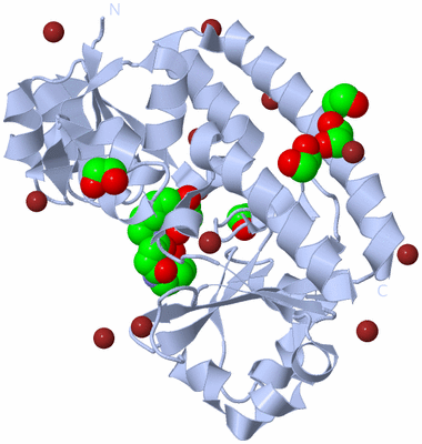 Image Biological Unit 1