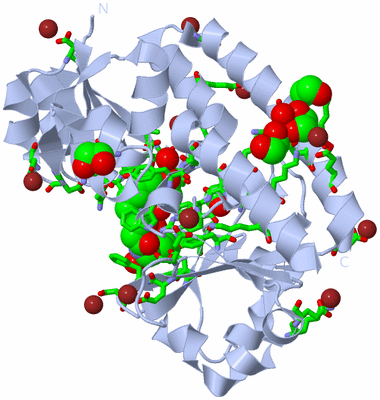 Image Biol. Unit 1 - sites