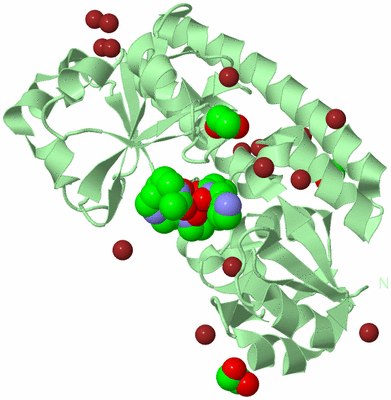 Image Biological Unit 2