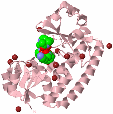 Image Biological Unit 3