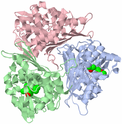 Image Asym./Biol. Unit