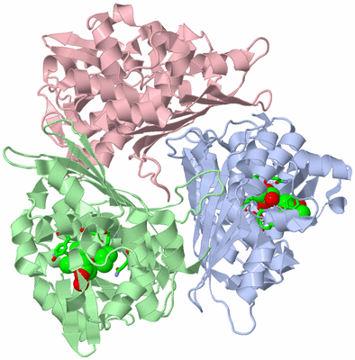 Image Asym./Biol. Unit - sites