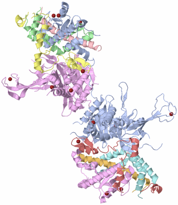 Image Asym./Biol. Unit