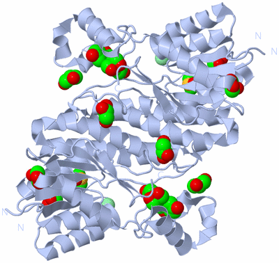 Image Biological Unit 1