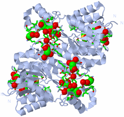 Image Biol. Unit 1 - sites