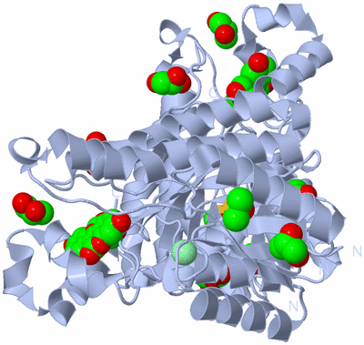 Image Biological Unit 2