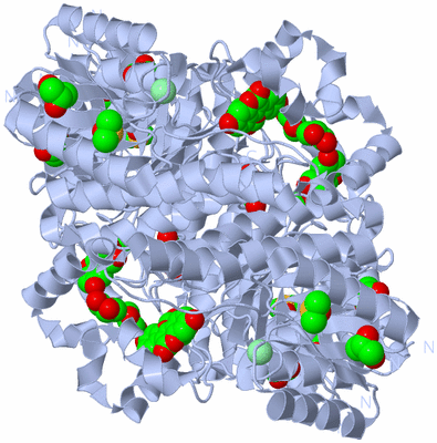 Image Biological Unit 3