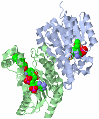 Image Biological Unit 1