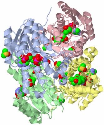 Image Biological Unit 3