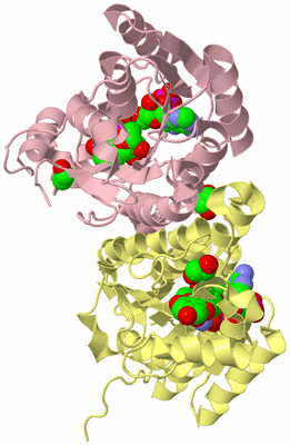 Image Biological Unit 2