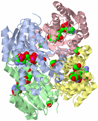 Image Biological Unit 3