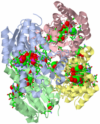 Image Asym. Unit - sites