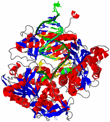 Image Asym./Biol. Unit