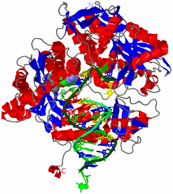 Image Asym./Biol. Unit