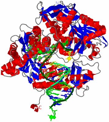 Image Asym./Biol. Unit - sites