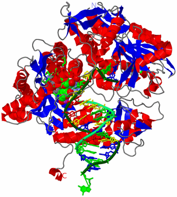 Image Asym./Biol. Unit - sites