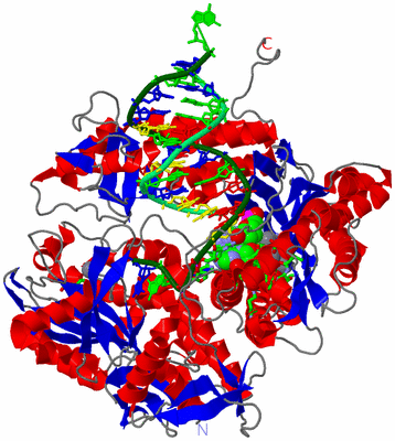 Image Asym./Biol. Unit - sites