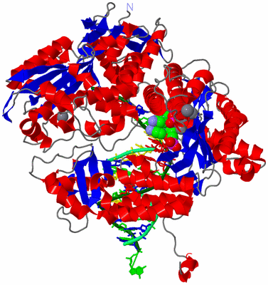 Image Asym./Biol. Unit