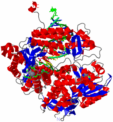 Image Asym./Biol. Unit - sites