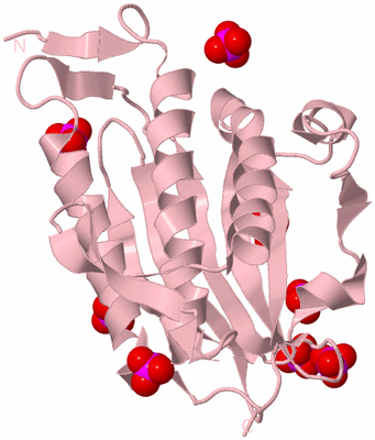 Image Biological Unit 3