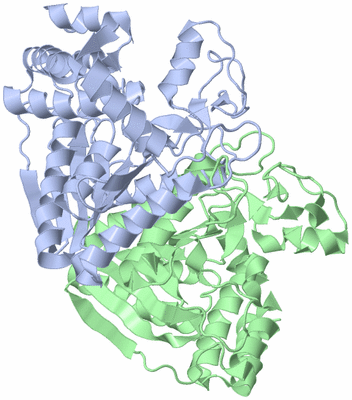 Image Asym./Biol. Unit