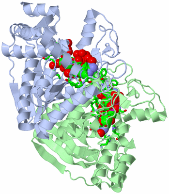 Image Asym./Biol. Unit - sites