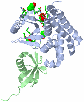 Image Biol. Unit 1 - sites