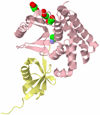 Image Biological Unit 2